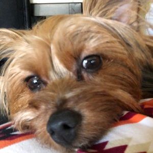 Meet your Posher, Sally